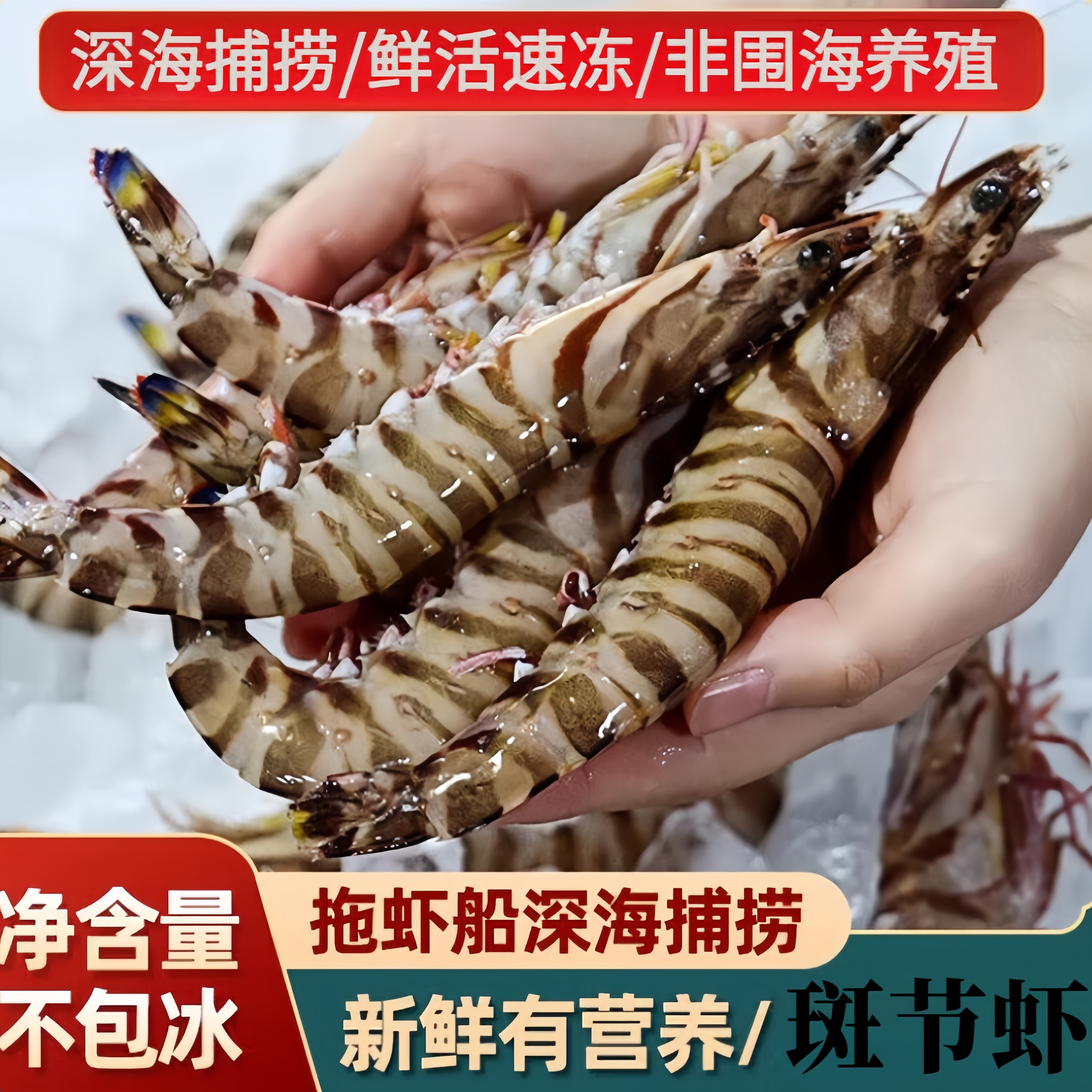 [顺丰特快]北部湾野生花虾深海九节虾海捕斑节虾竹节虾活冻发货