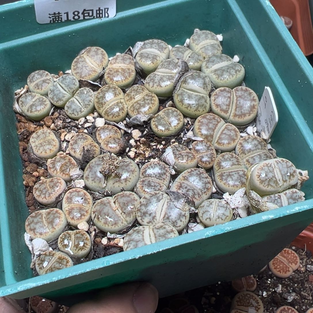 【闪购商品】 413。     