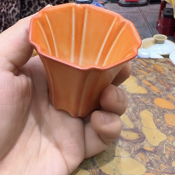 赤志野主人杯……多楞