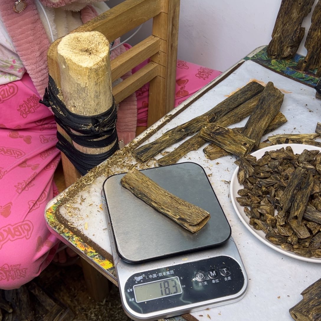 线香奇楠虫漏香18克