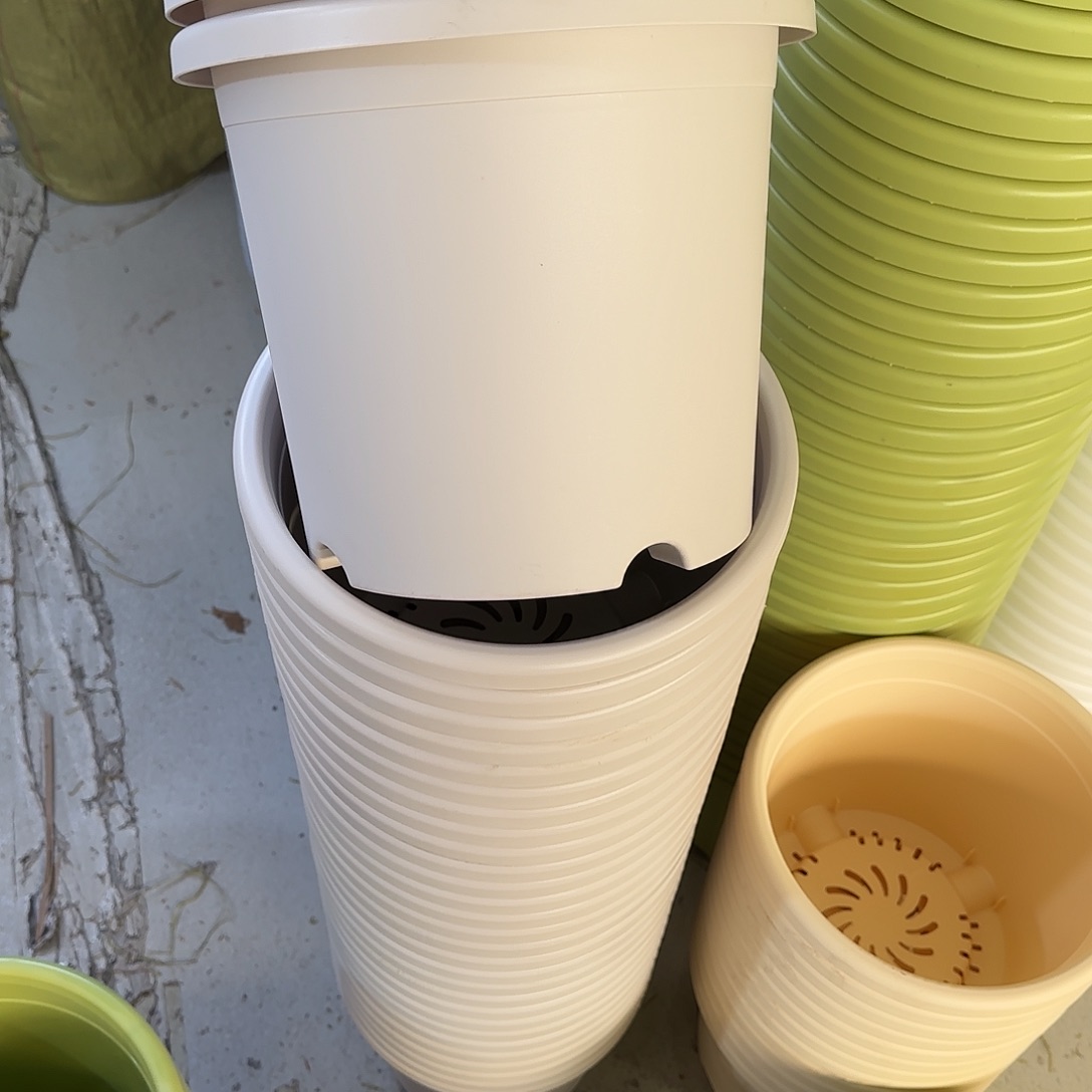 微瑕5号10个无托，灰白