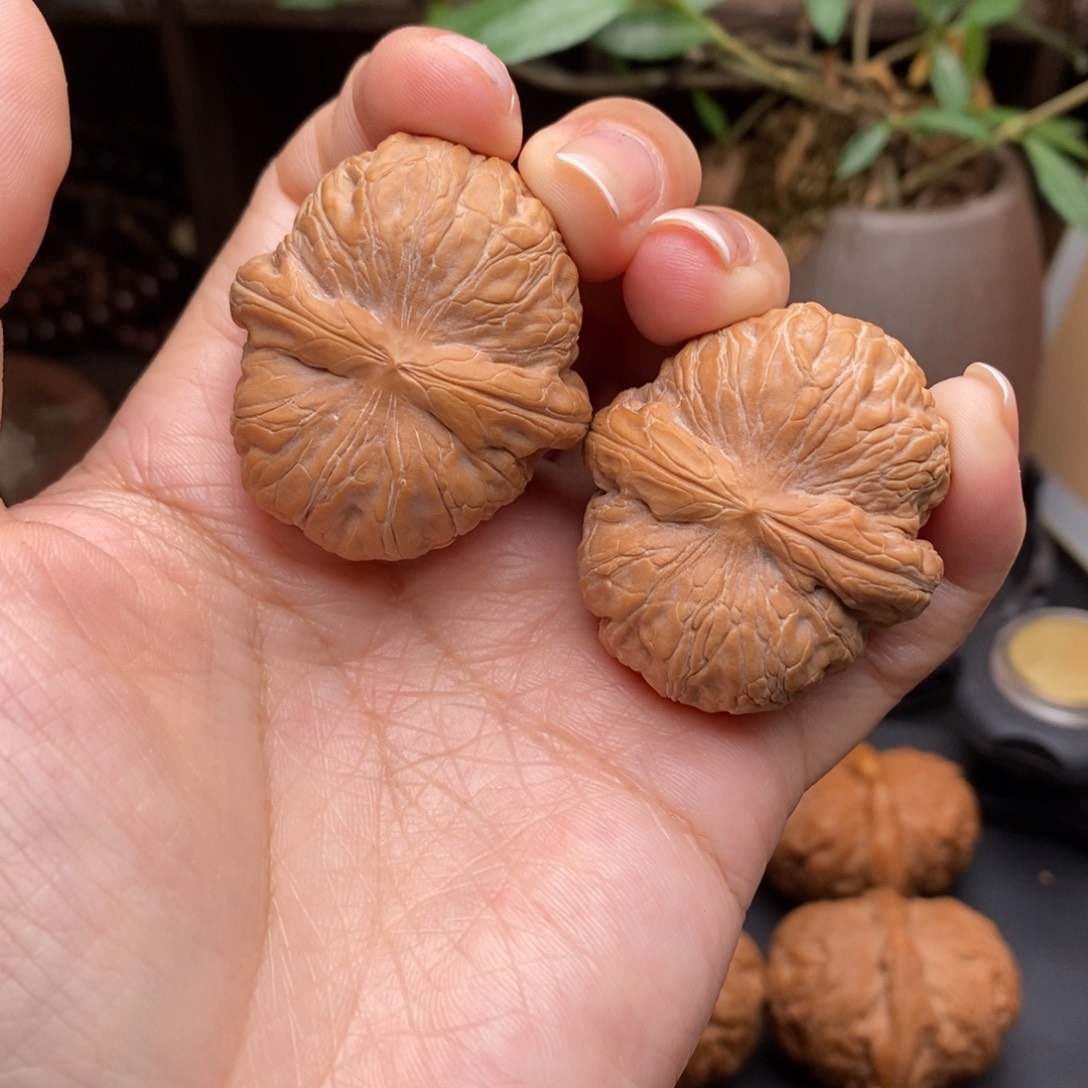 文玩核桃把件38.5元宝