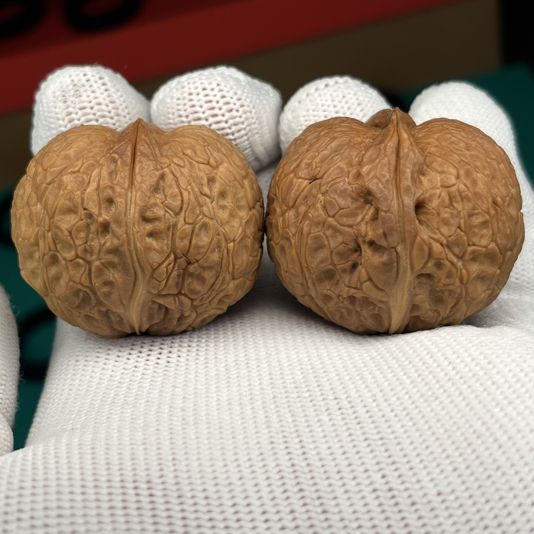 文玩铁核桃麒麟蟒珠37尺