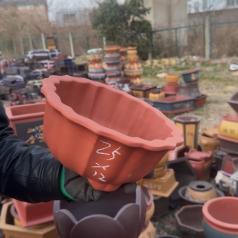 红陶紫砂花盆盆景盆栽