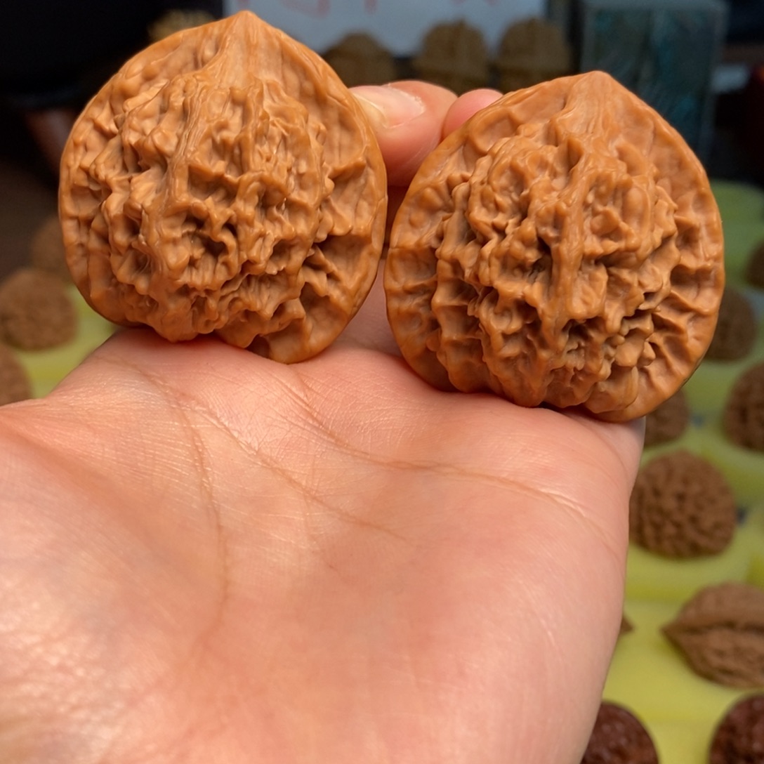 核桃秦岭大花43桃心壮