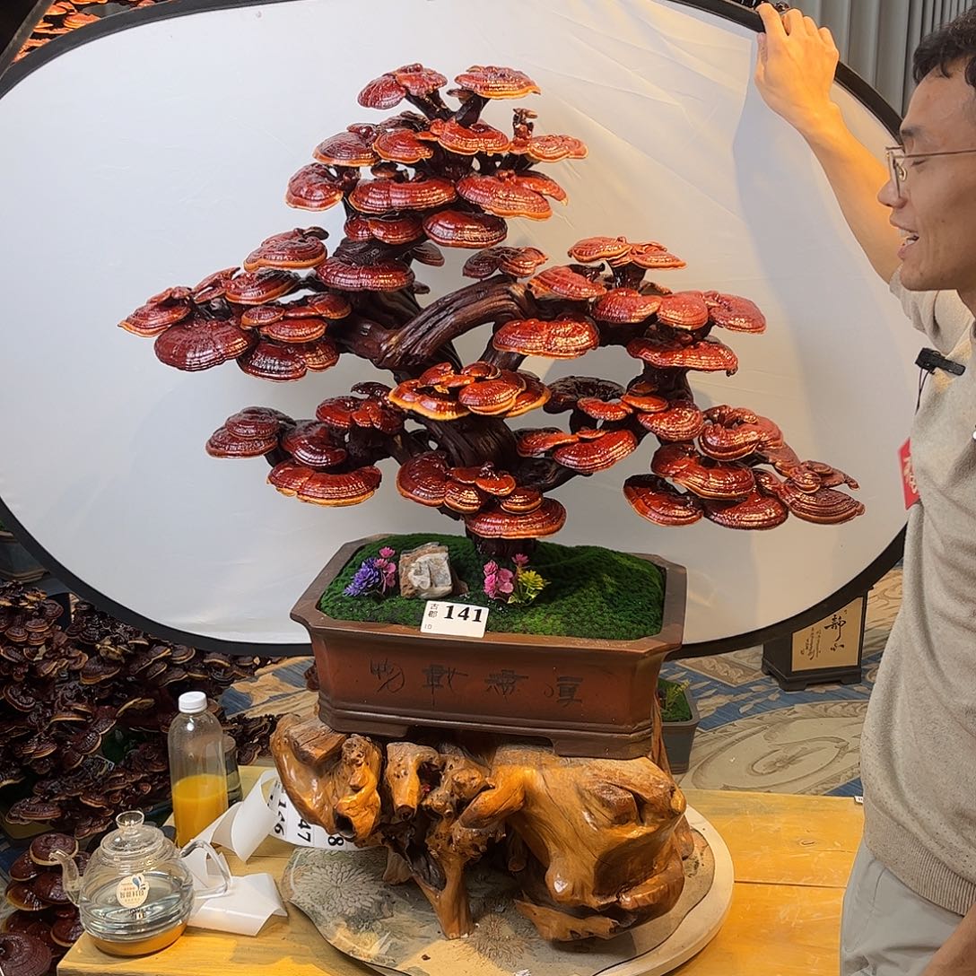 无花朵88888888888888