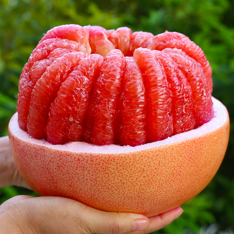 【自然搭档】福建平和三红柚4.5-9斤新鲜水果红心蜜柚柚子多仓发