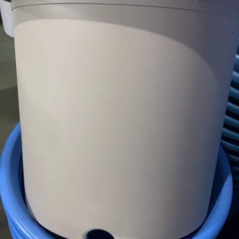 树脂四季6号微瑕灰白无托7个