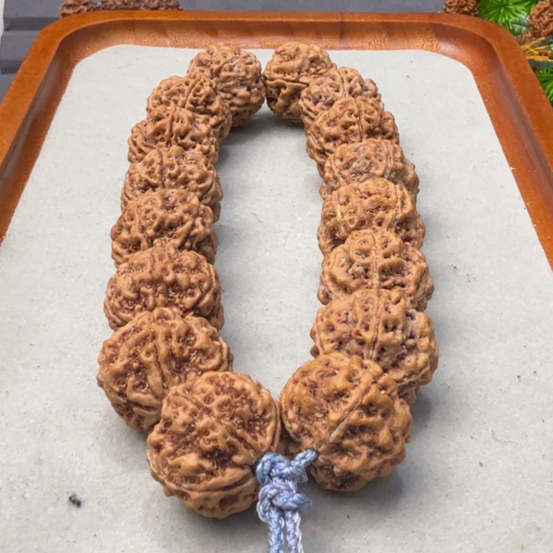 金刚菩提吊坠雪山铁籽粗筋蜂窝双龙