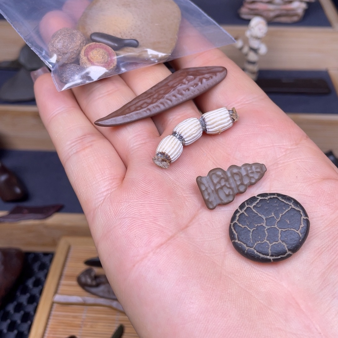 小***海880088888880088888888