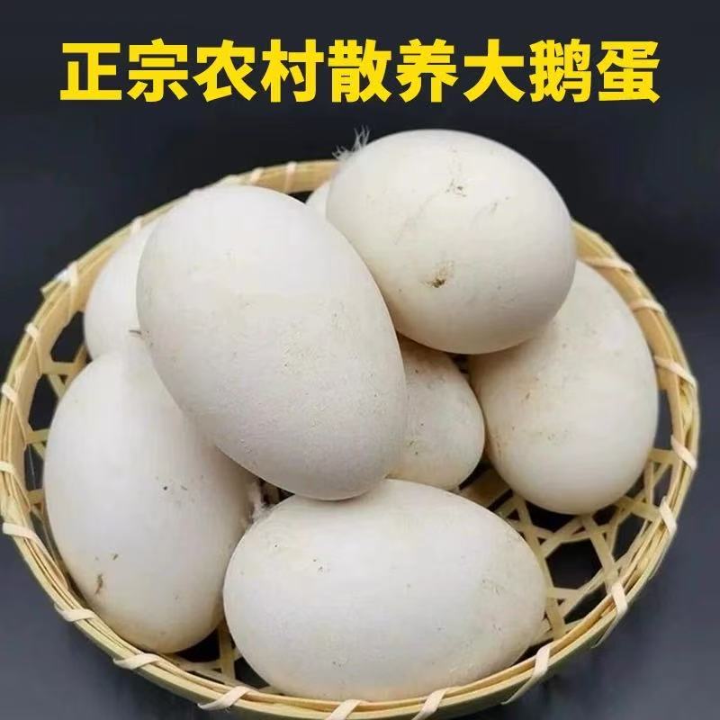 正宗东北农家散养新鲜鹅蛋现捡现发杂粮喂养破损包赔