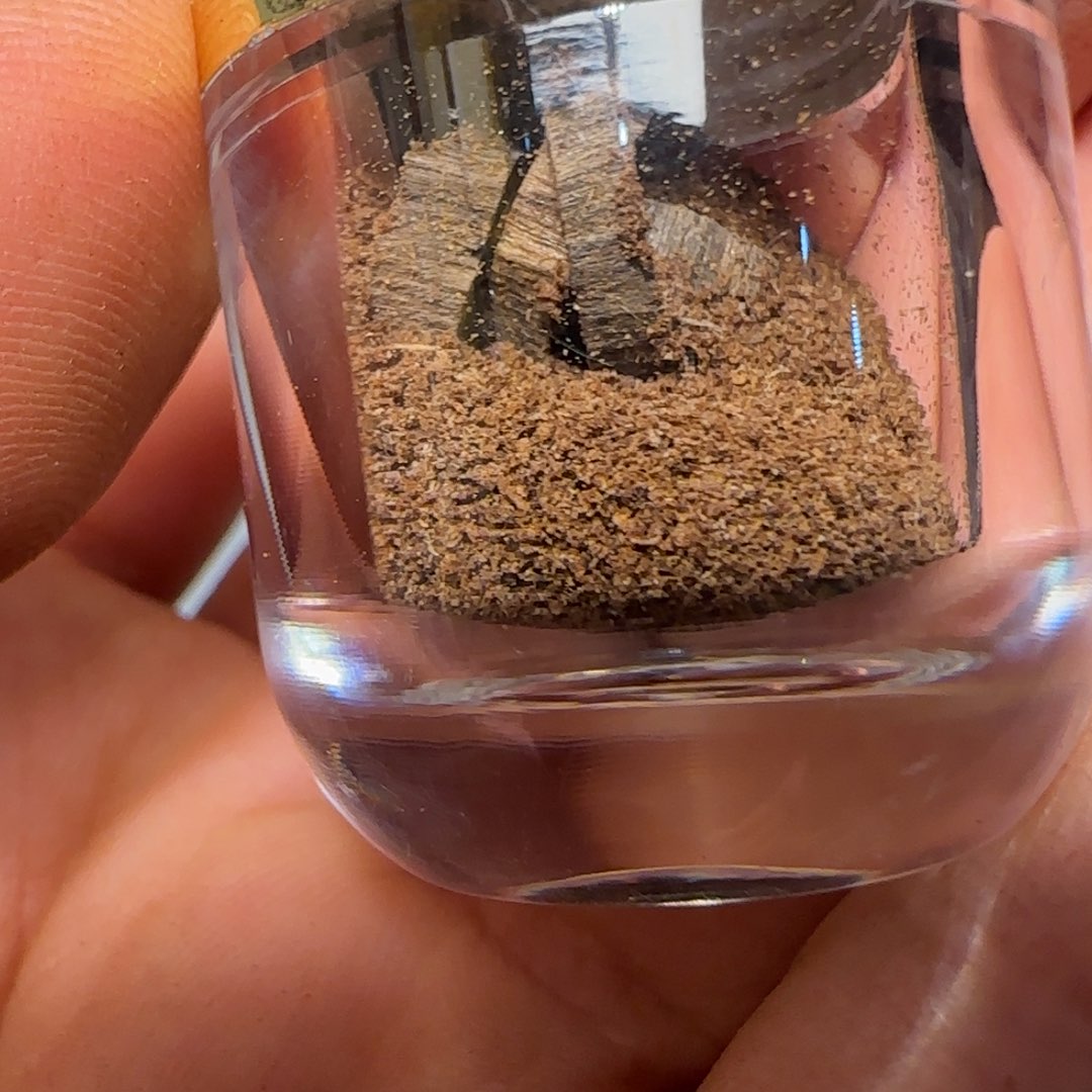 沉香沉香碎屑正文莱黑奇1克不退