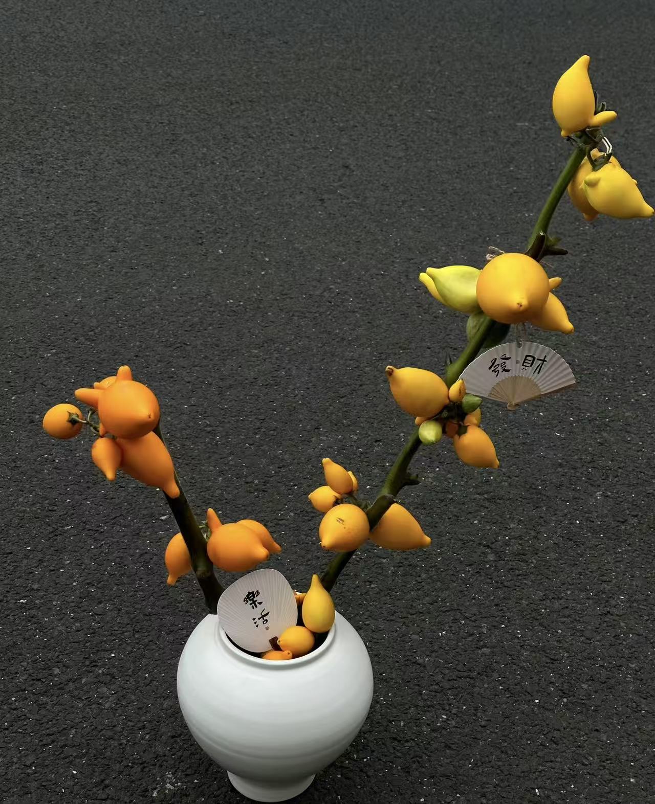 五代果小猪佩奇果可干花高品质家居花材基地直发