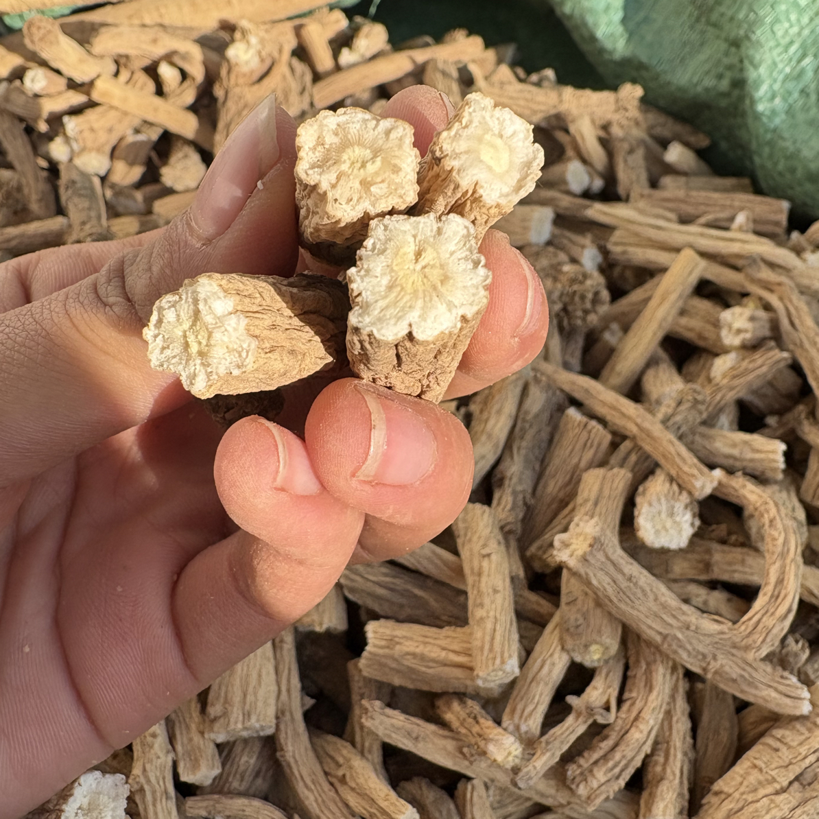 甘肃原产地无硫党参段可泡水煲汤