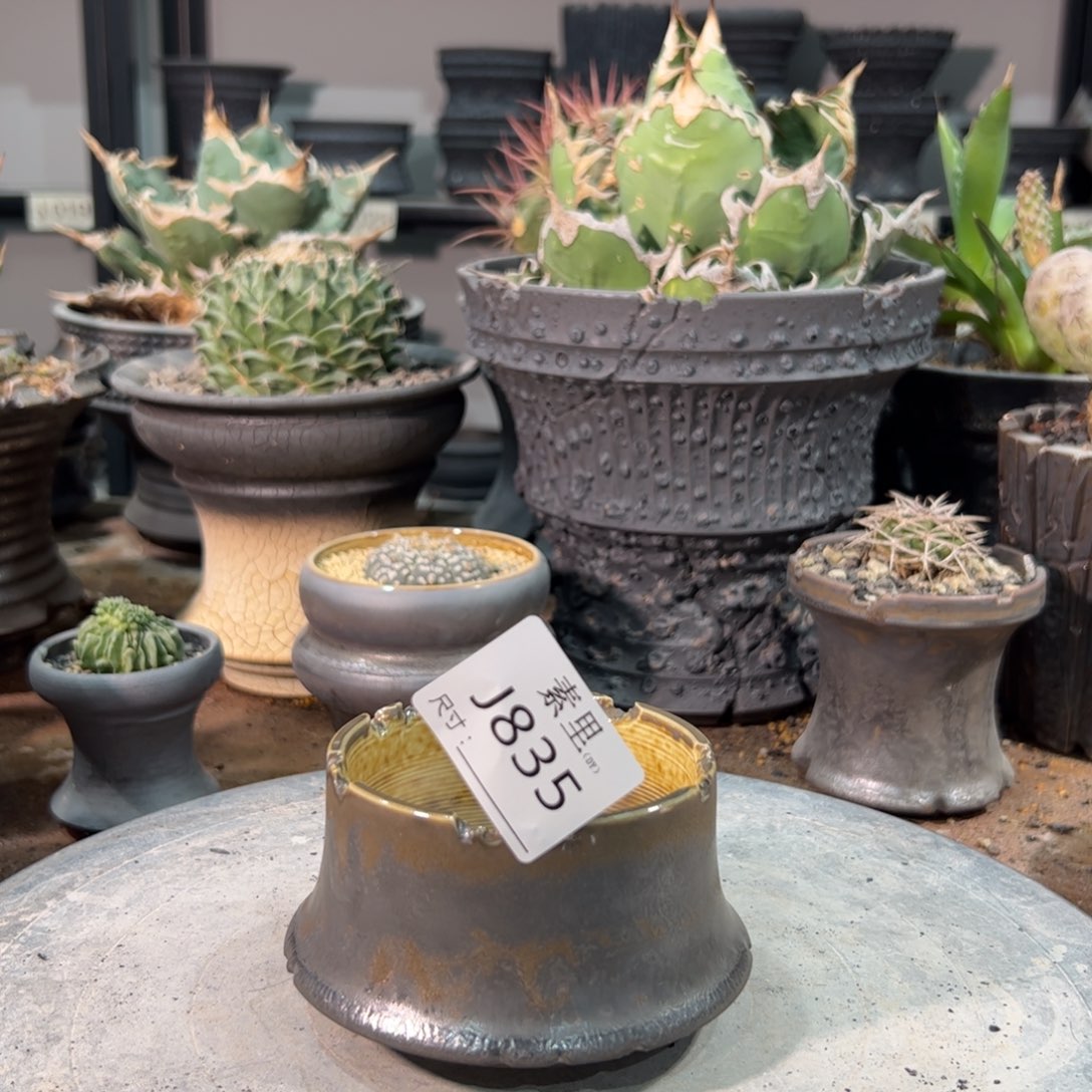 景德镇手工素里内口8高6瑕疵