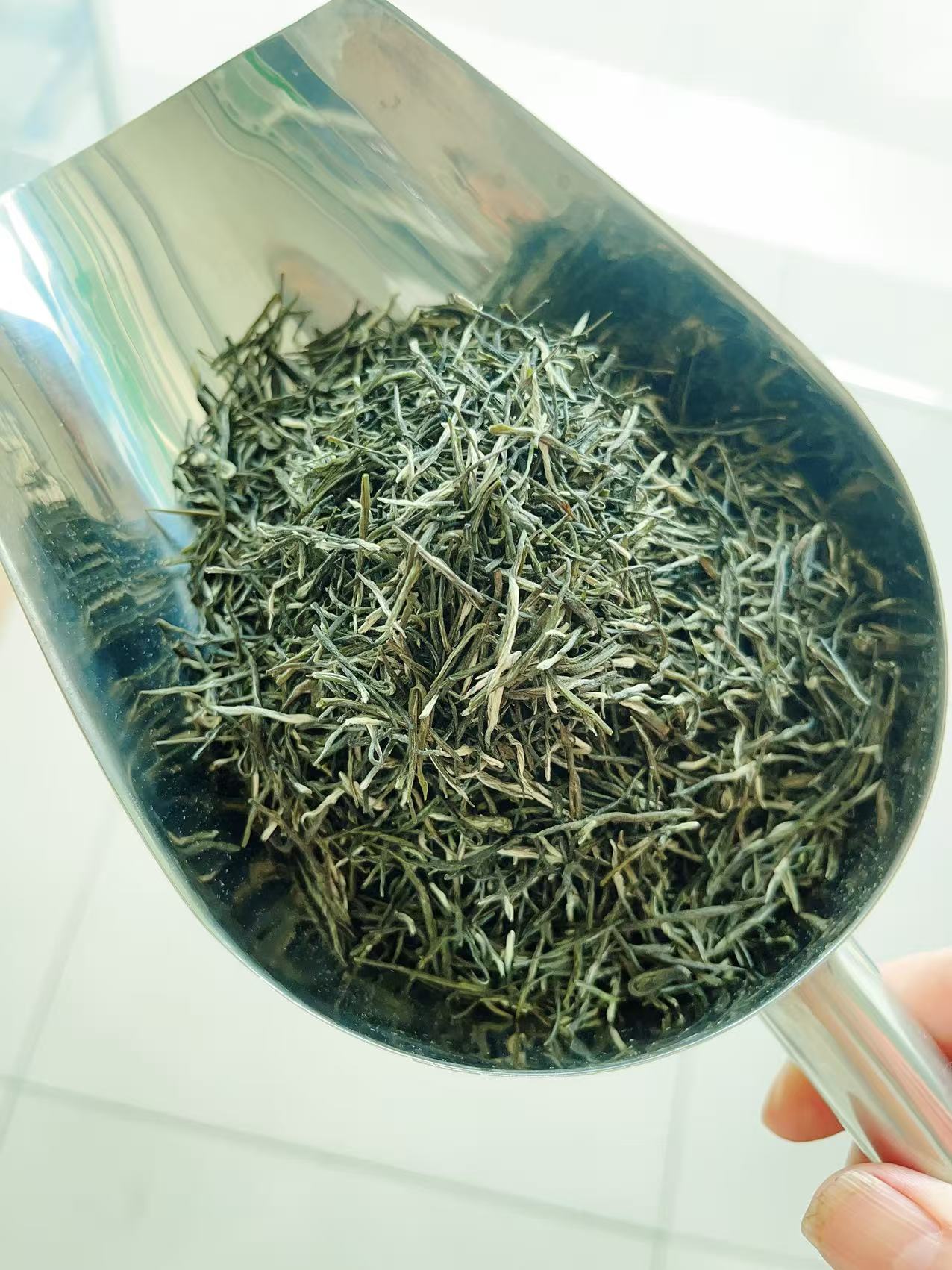 绿茶2025年明前高山绿茶新鲜毛尖新茶鲜爽嫩芽纯手工茶叶兰花香