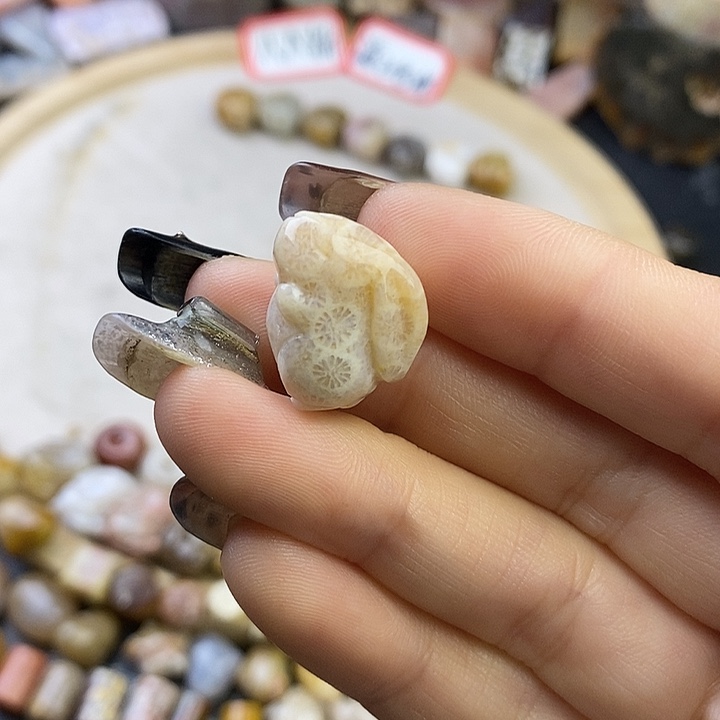 针钠钙石（海纹石）未镶嵌颈饰1