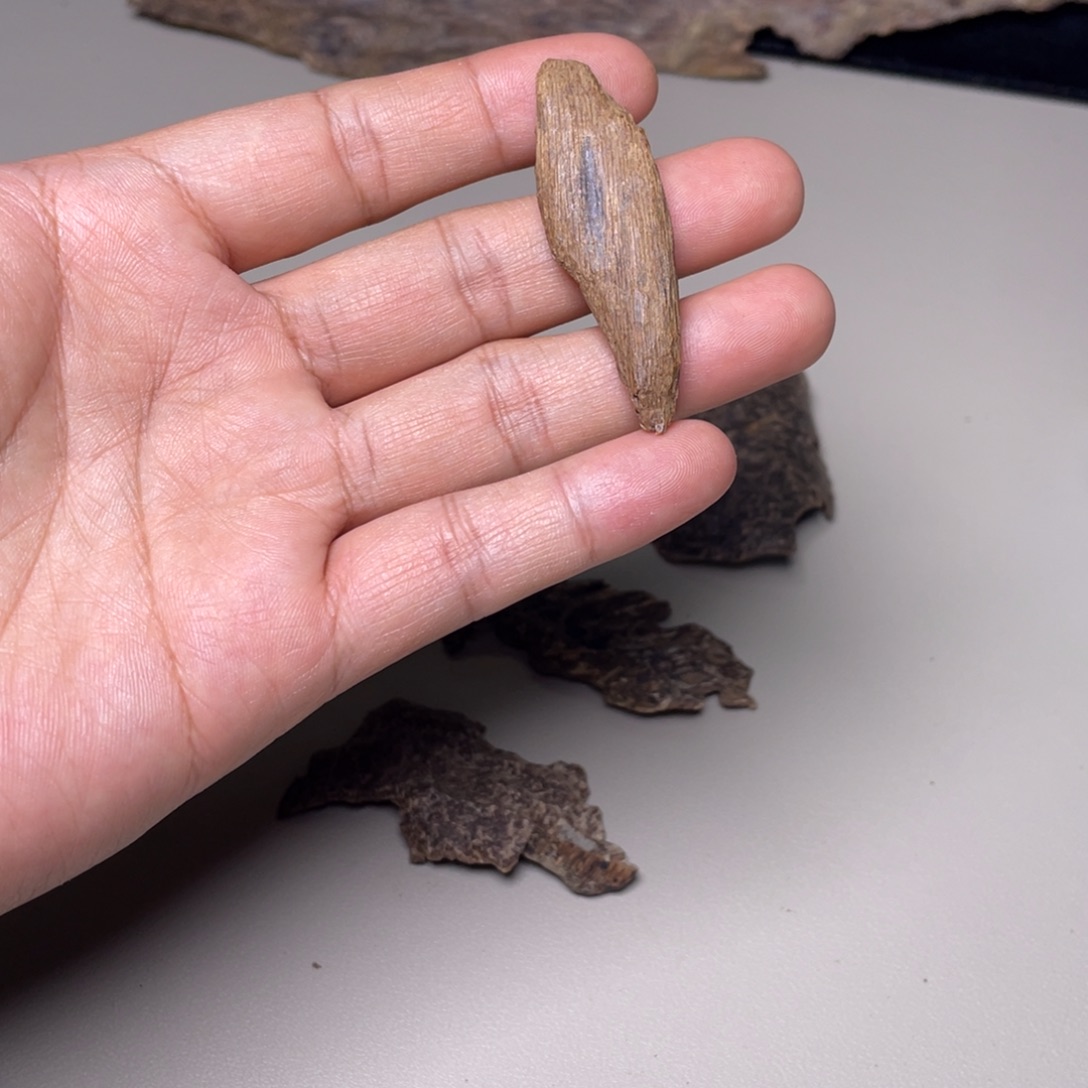 香榧木海南天然木艺品3.8克