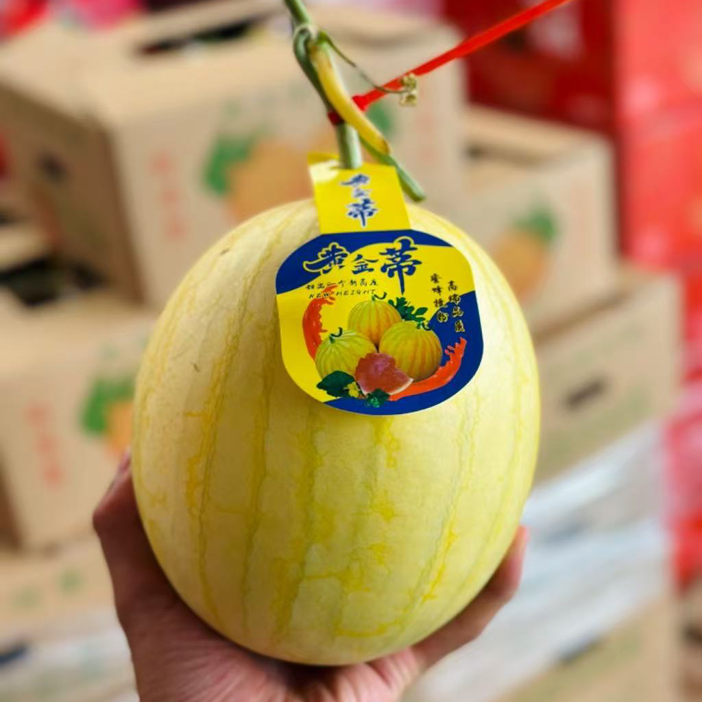 金皇后黄金蒂西瓜，赤金金蛋黄金西瓜脆甜多汁送人送礼；一个3.5斤左右北京市