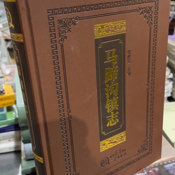 马蹄沟镇志精装书籍