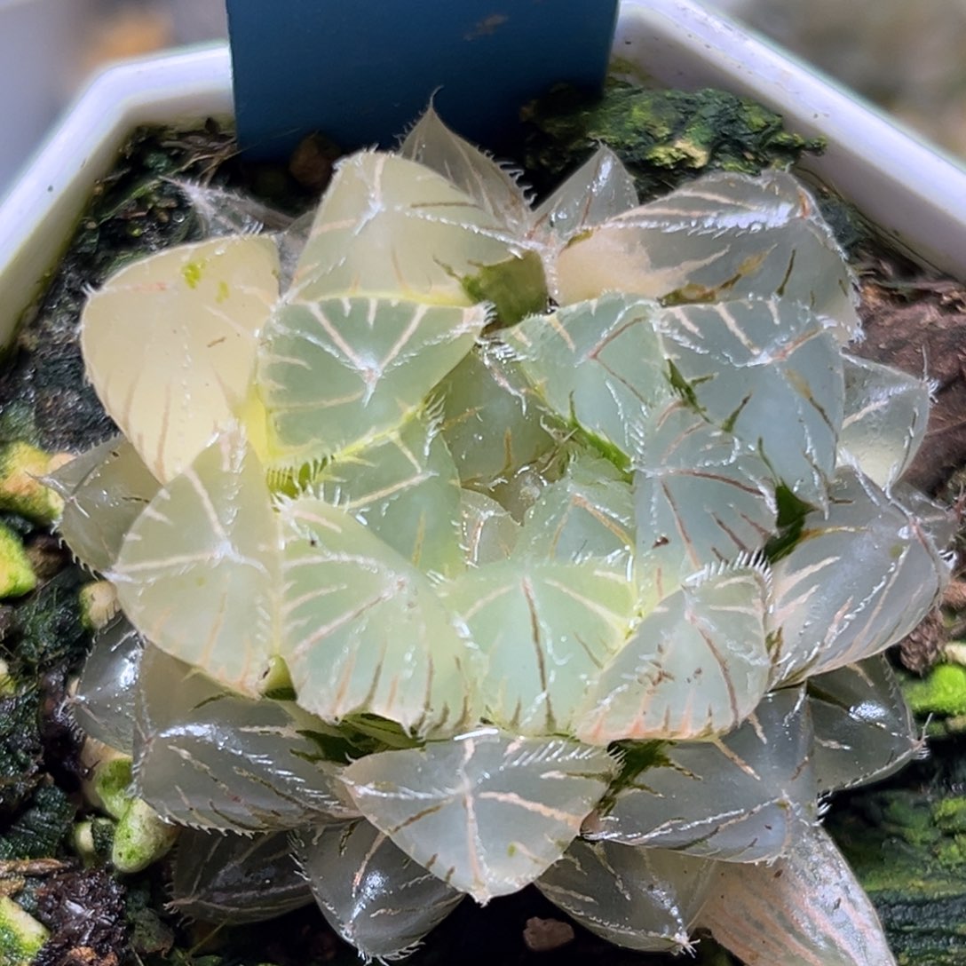 恭喜发财大吉大利0302