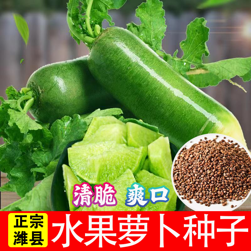 萝卜种籽大全冰糖脆水果萝卜种子绿心可生吃适合四季播种盆栽蔬菜