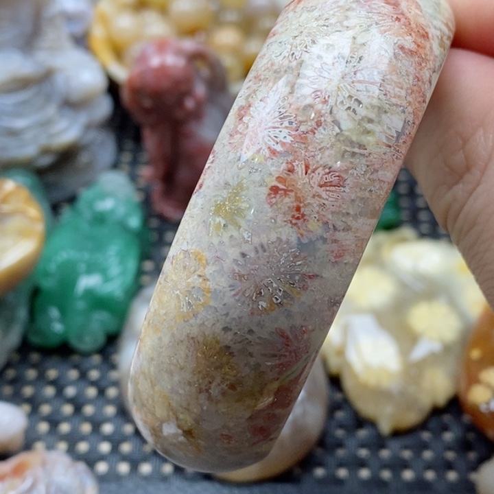 硅化珊瑚（珊瑚玉）颈饰未镶嵌55