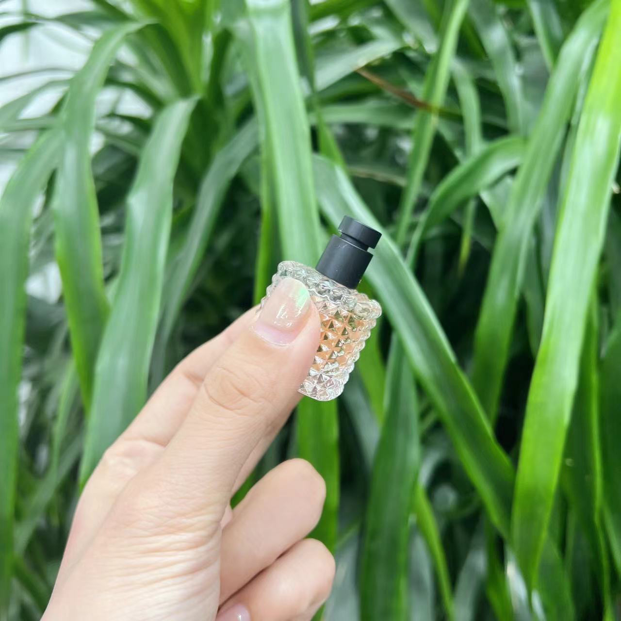 【拿捏这个小菠萝！】罗马铆钉瓶的香水 香甜又温柔