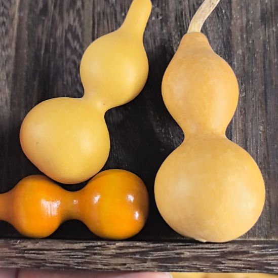 葫芦死鬼宝宝的绕指柔