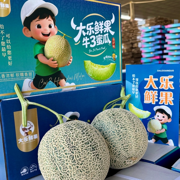 【大乐鲜果 京东快递】海南（牛3）网纹瓜2个装 软糯香甜 海南直发