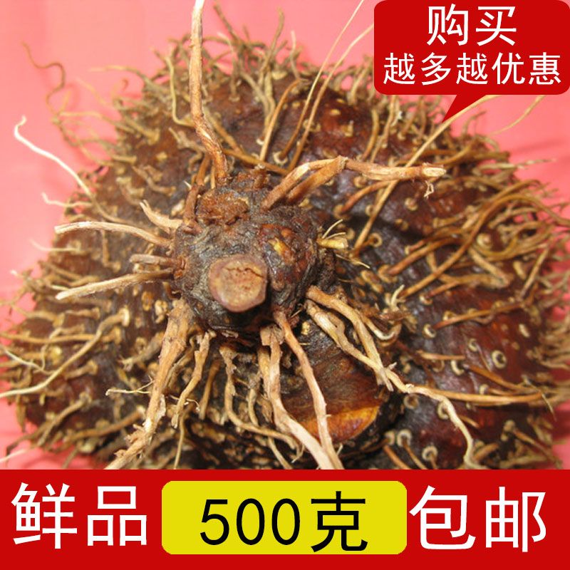 黄独煲汤零余子500g福建寿宁土特产