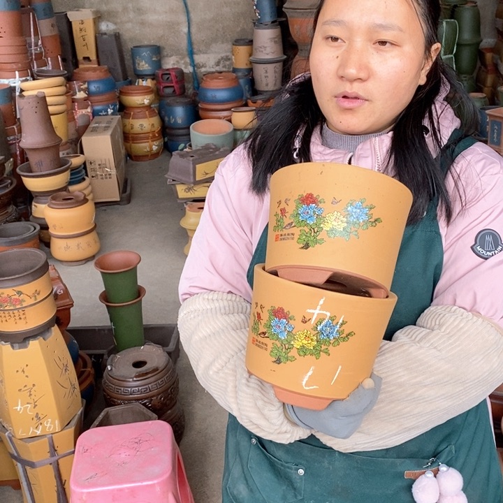 紫砂花盆盆栽花卉苗木种植