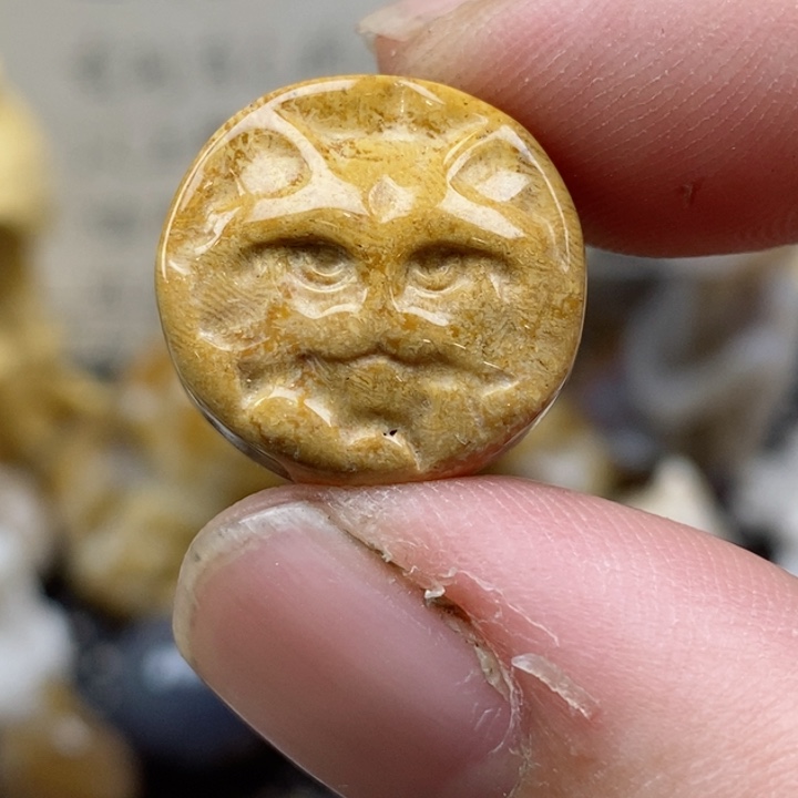 颈饰未镶嵌硅化珊瑚（珊瑚玉）小