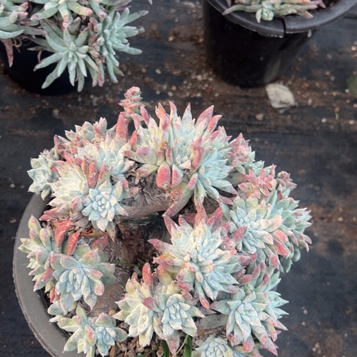 825哈哈哈哈哈哈哈哈