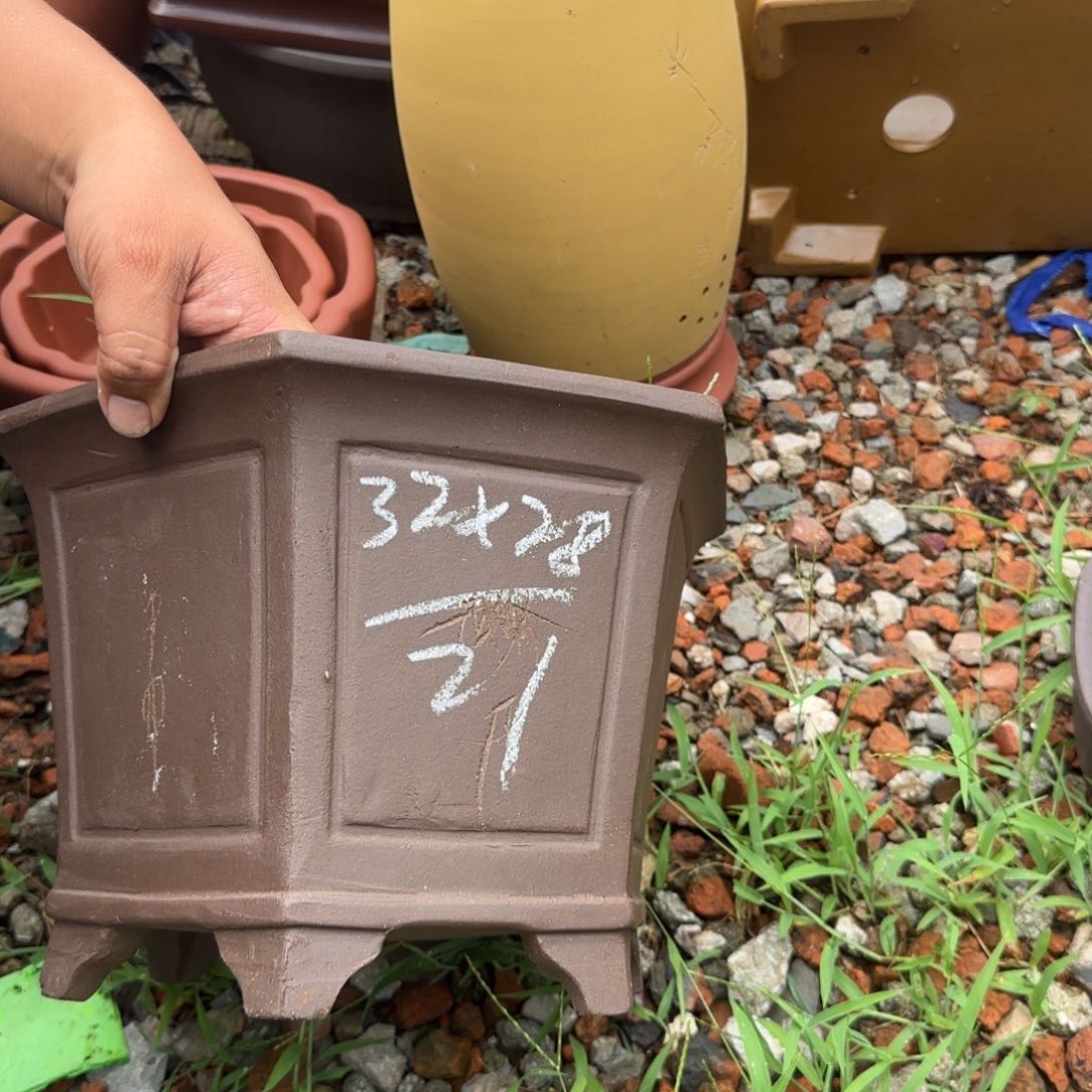 紫砂花盆紫砂花盆花盆盆景盆栽