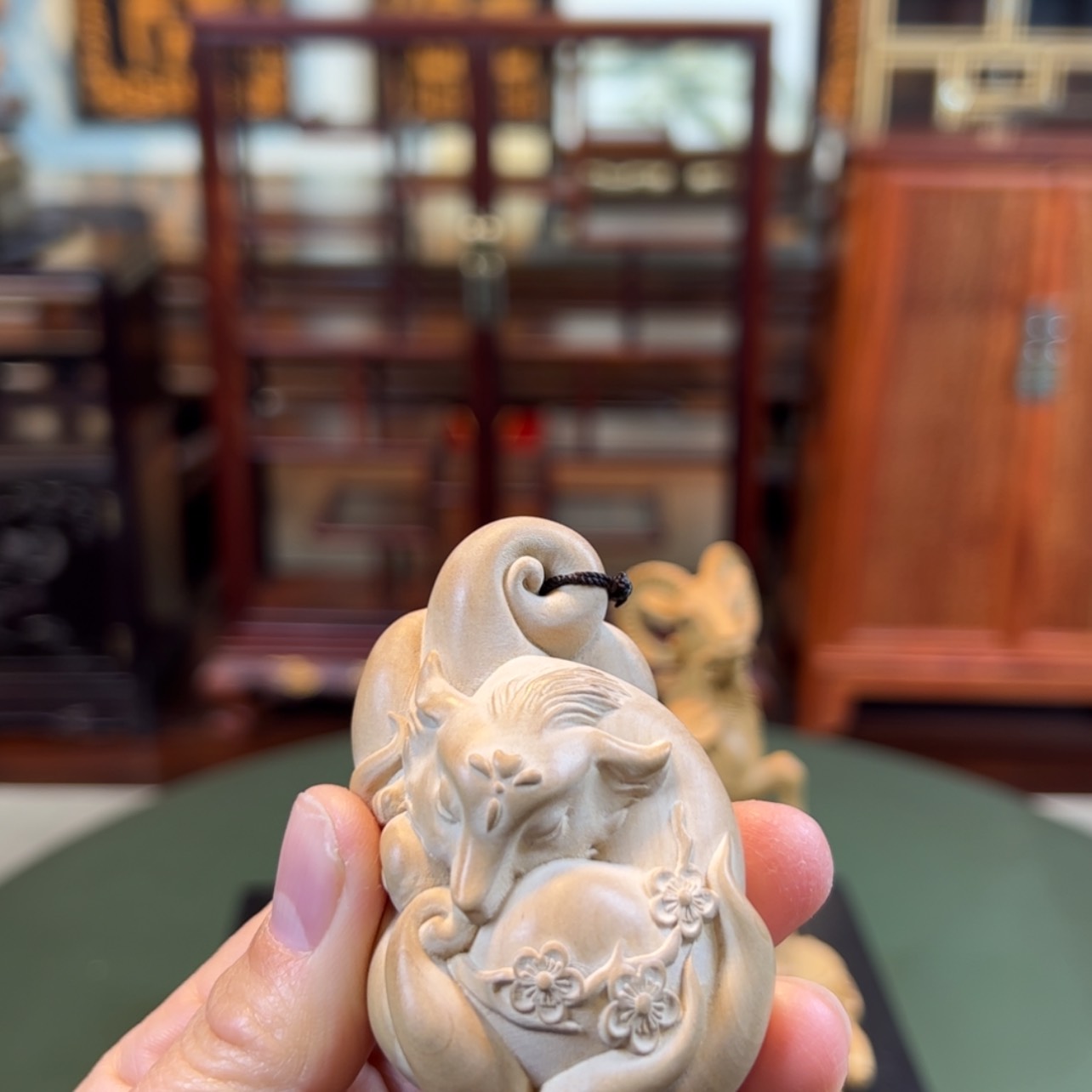 【闪购商品】黄杨木其他黄杨木