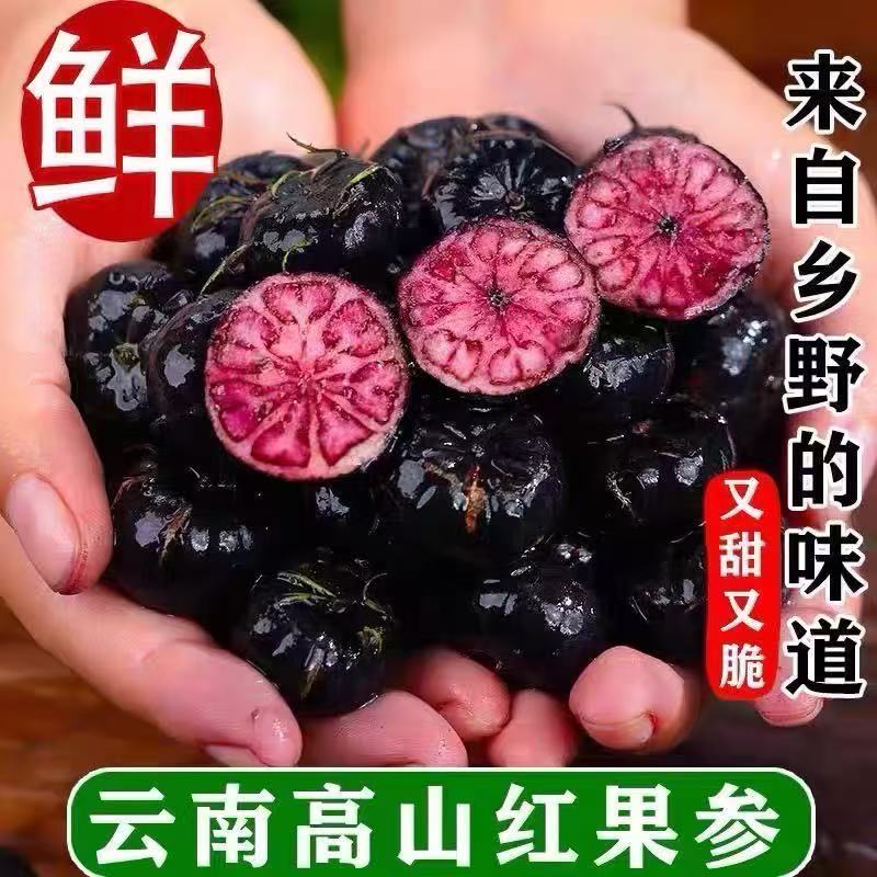 云南高原红果参蜘蛛果云南稀有水果果王全部树熟果
