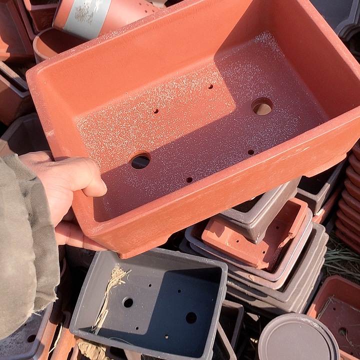 紫砂哈哈真的是太给力太火爆了