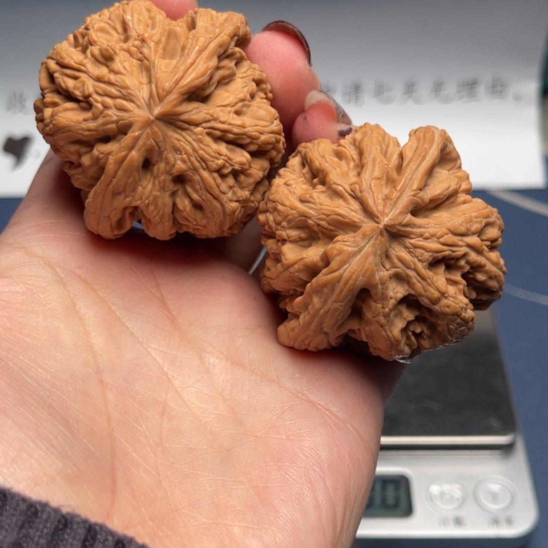 文玩核桃把件粗筋47