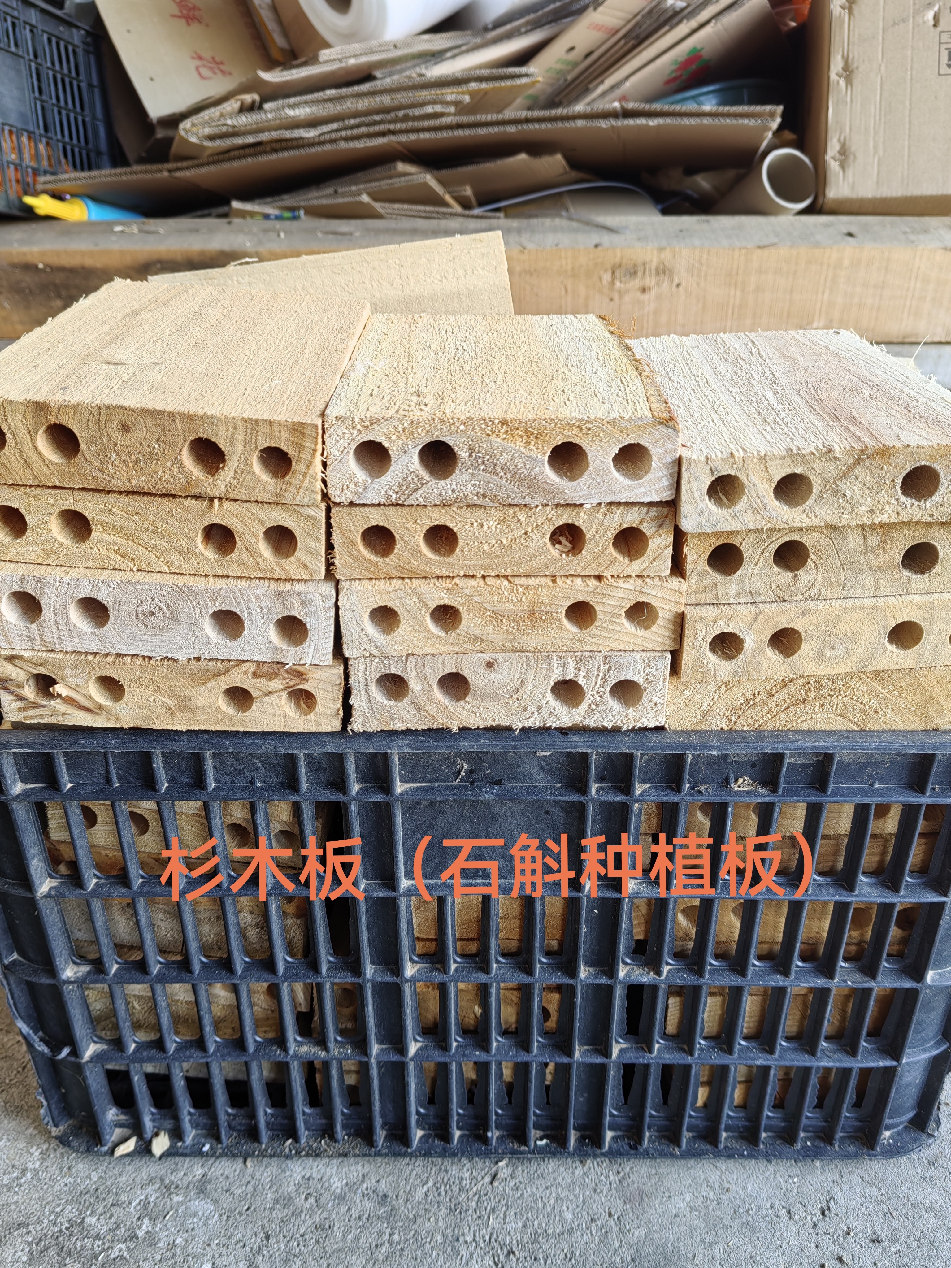 杉木板石斛种植板带挂钩上面有注水孔洞方便易生根方便好养