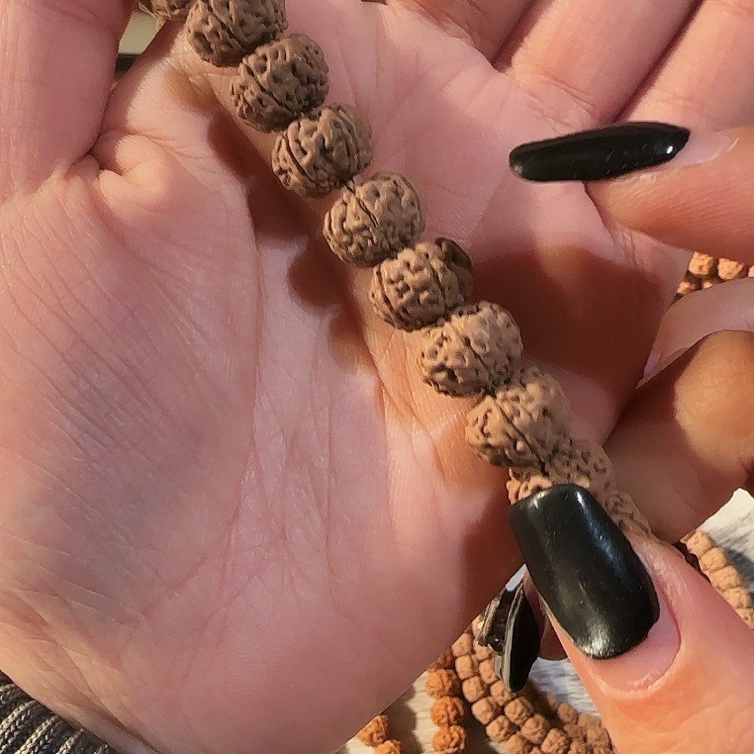 金刚菩提吊坠树王