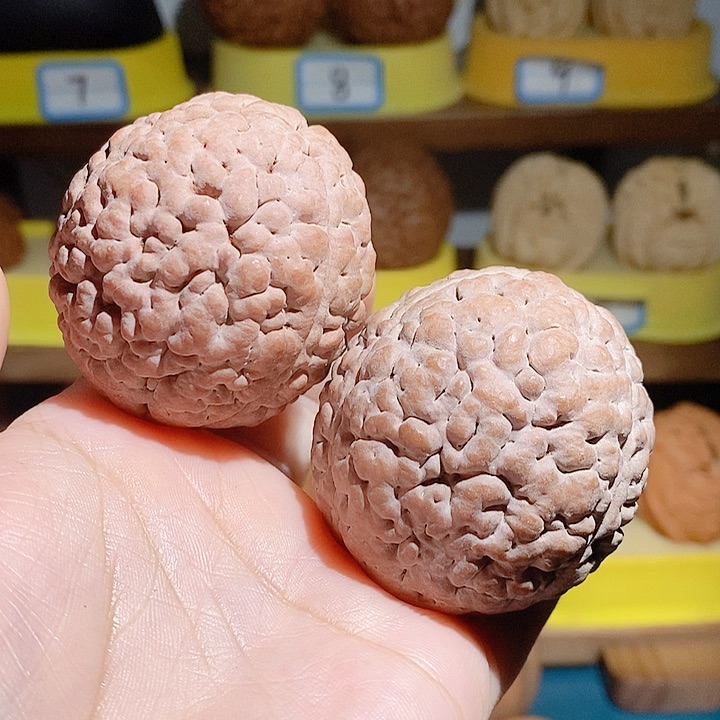 穆*野生三瓣脑纹大金刚4550