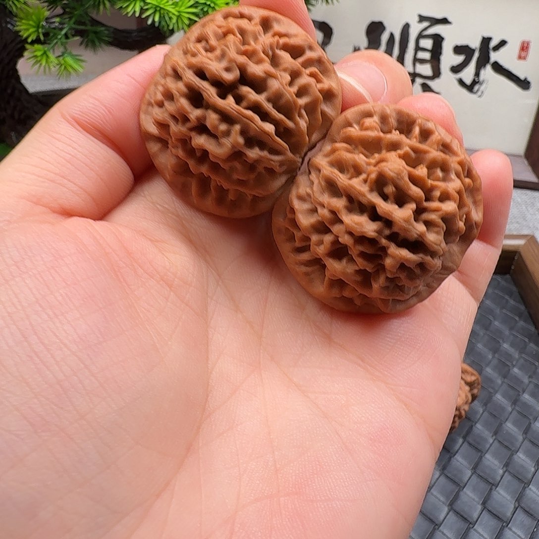 核桃全品新果秦闷37