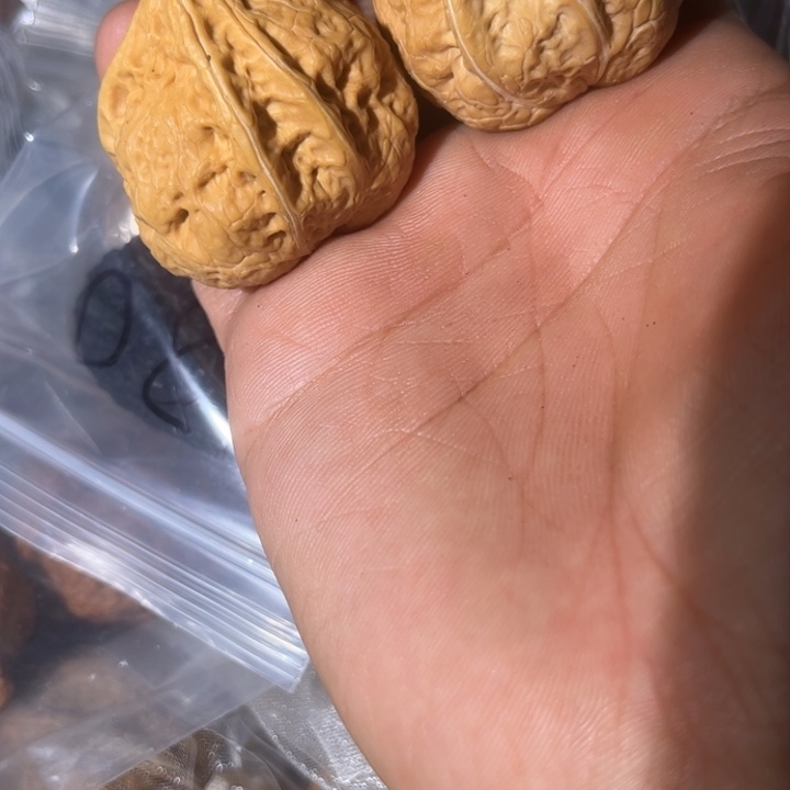 文玩核桃吊坠滇西76