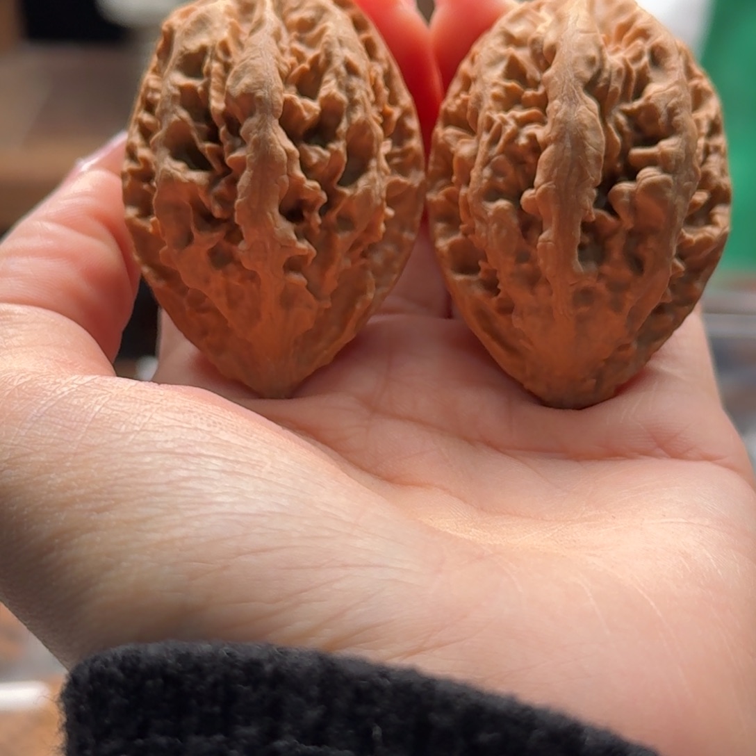 文玩核桃把件关东木子楸百核161