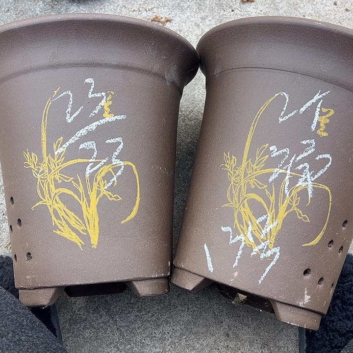 13号，宜兴紫砂花盆特惠