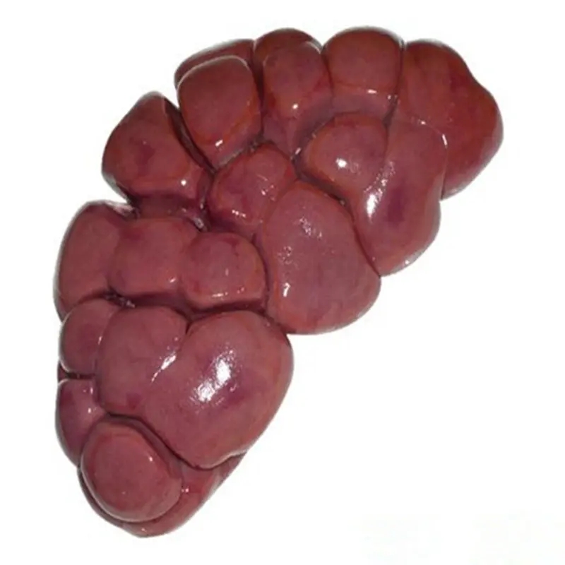 牛腰子新鲜现称改价（1-10kg） 