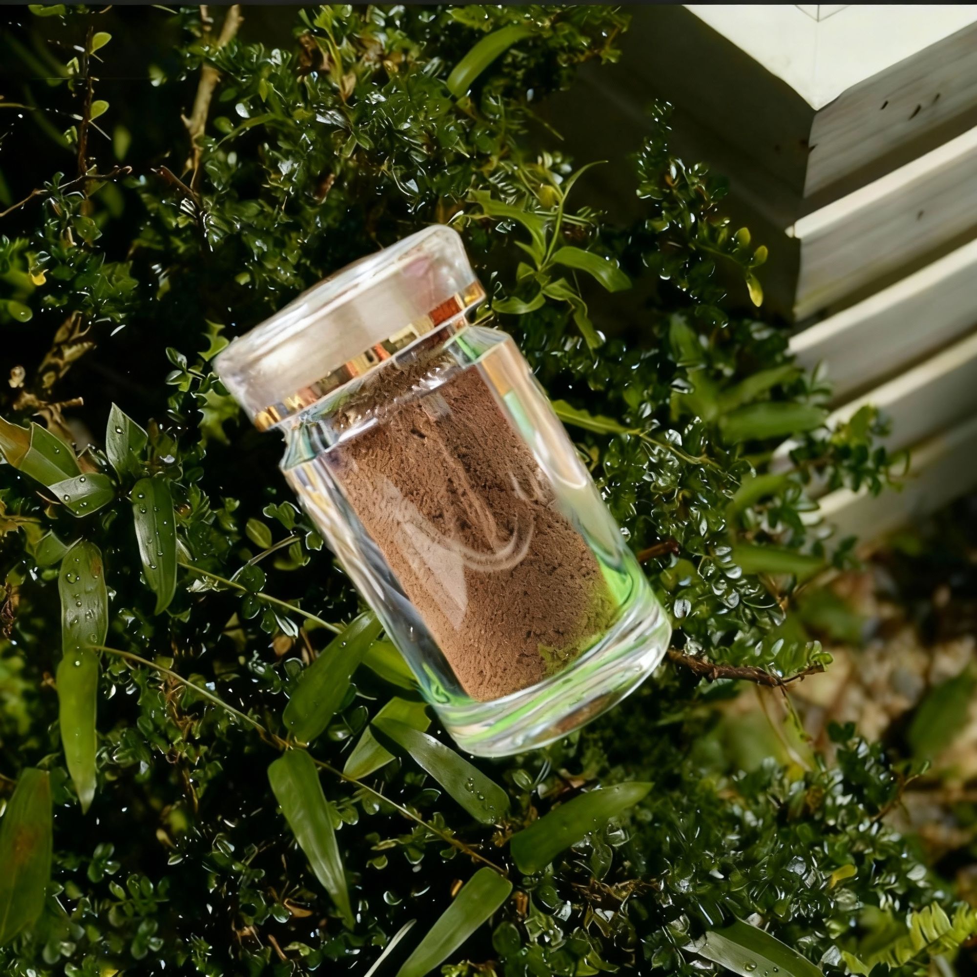 【奇楠熏香料】大观沉香碎料熏香香粉海南产区道