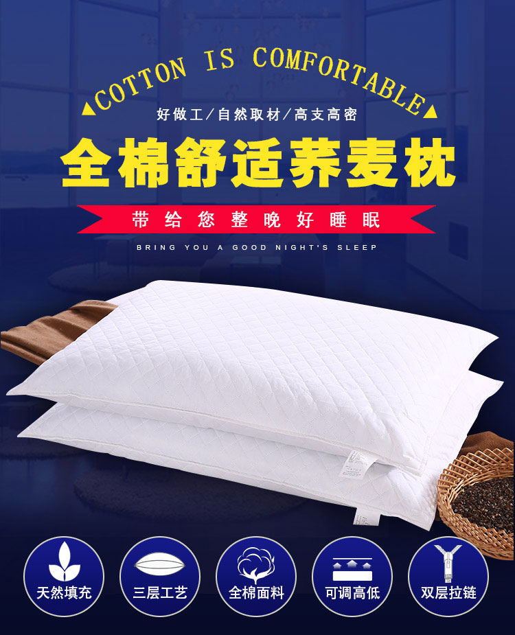 可拆荞麦决明子枕助睡眠枕芯枕头通用便携款荞麦枕头嫂子酒店成人