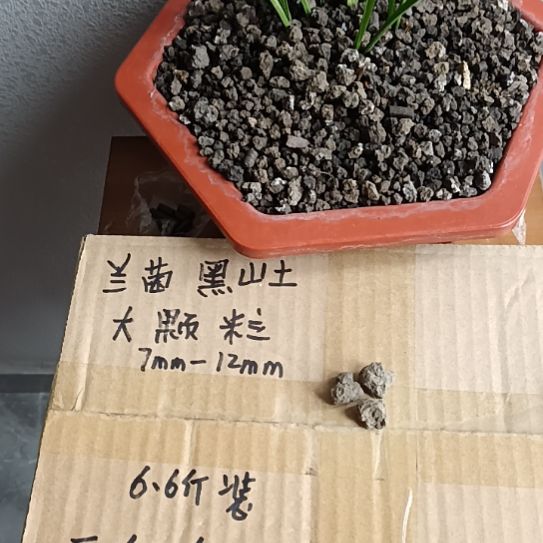 任***翔兰菌黑山土大颗粒6.6斤